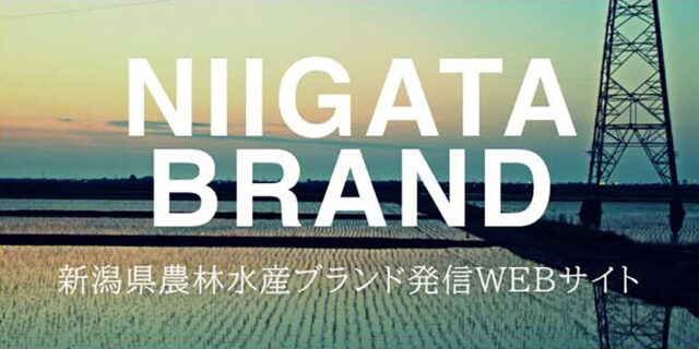 cruise-niigata-brand-ec